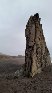 At the beach in Iceland