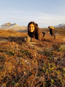 By Svartifoss in sunset