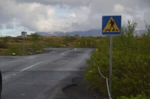 Diver Zebra Crossing