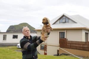 Dogs in Westman islands