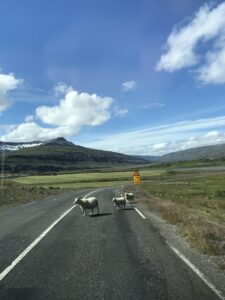 Driving East from Lake Mývatn