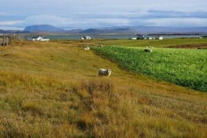 Driving in North Iceland