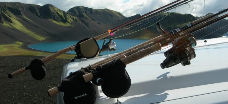 two fishing poles on a car