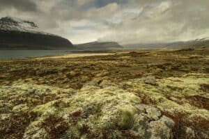 Flatlands in Iceland