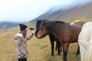 Horse encounter in Snæfellsnes
