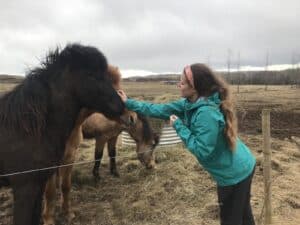 Horses in East Iceland