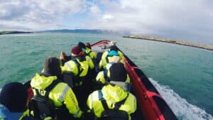 Húsavík Whale Watching Húsavík Whale Watching