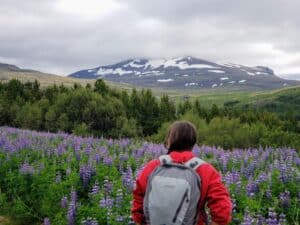 Iceland during summer Iceland during summer