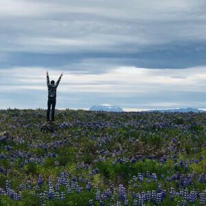 Icelandic highlands Icelandic highlands