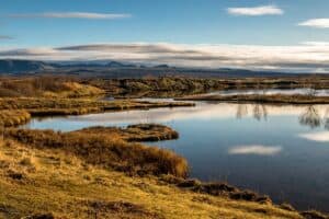 Lake Þingvellir
