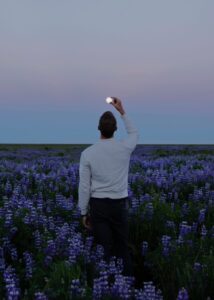 Lupins and the moon Lupins and the moon