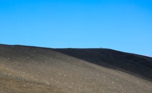 The wild of Iceland