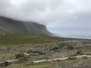Viking Village