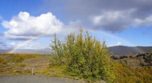 Waterfall rainbow Waterfall rainbow