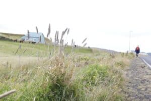 Westman Islands hiking