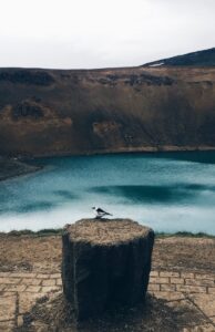 Wildlife by Viti crater Wildlife by Viti crater