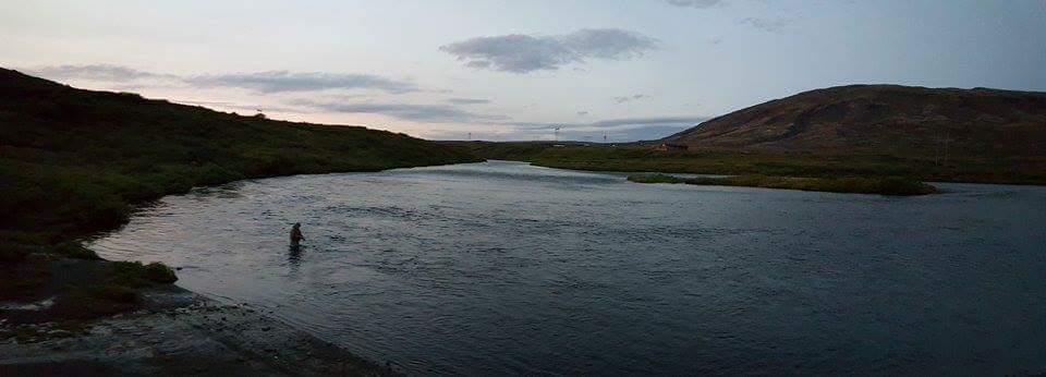 Cheap trout fishing in Iceland Cheap trout fishing in Iceland
