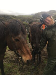 horseback riding Iceland