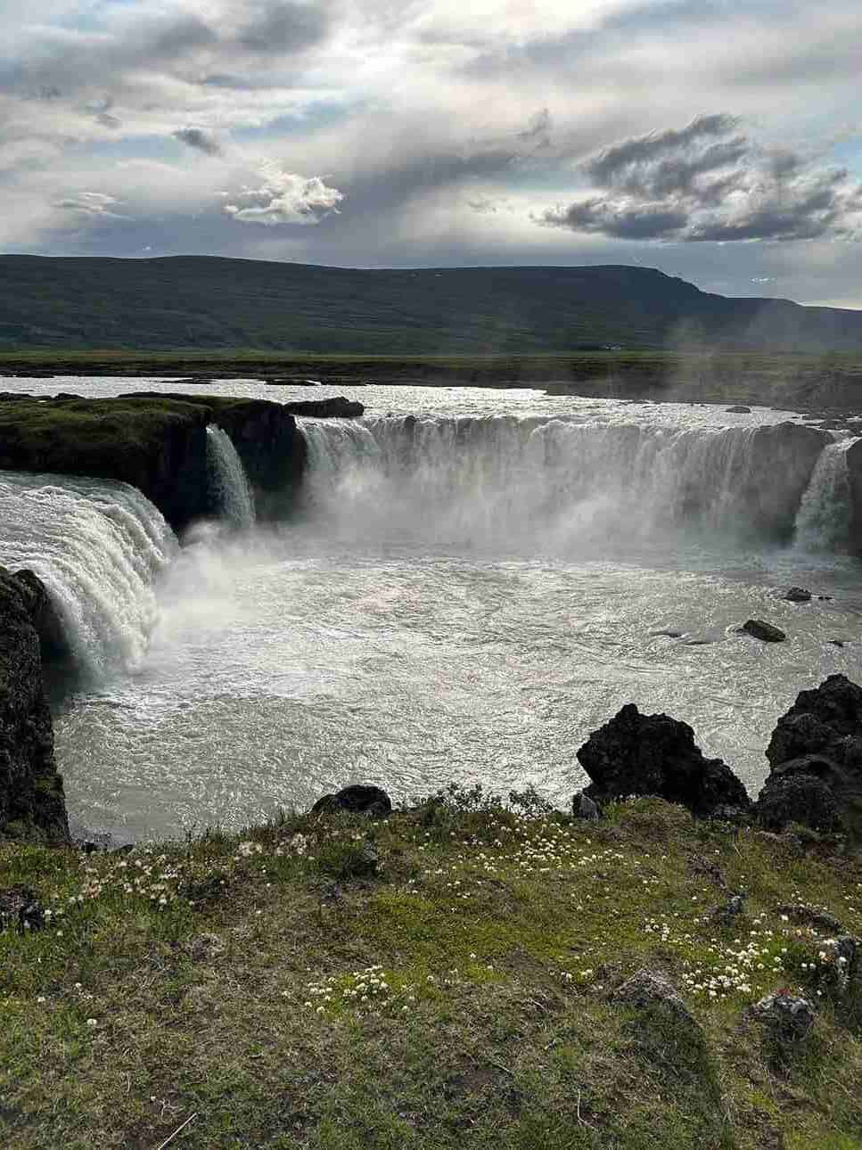 Goðafoss waterfall and flowers