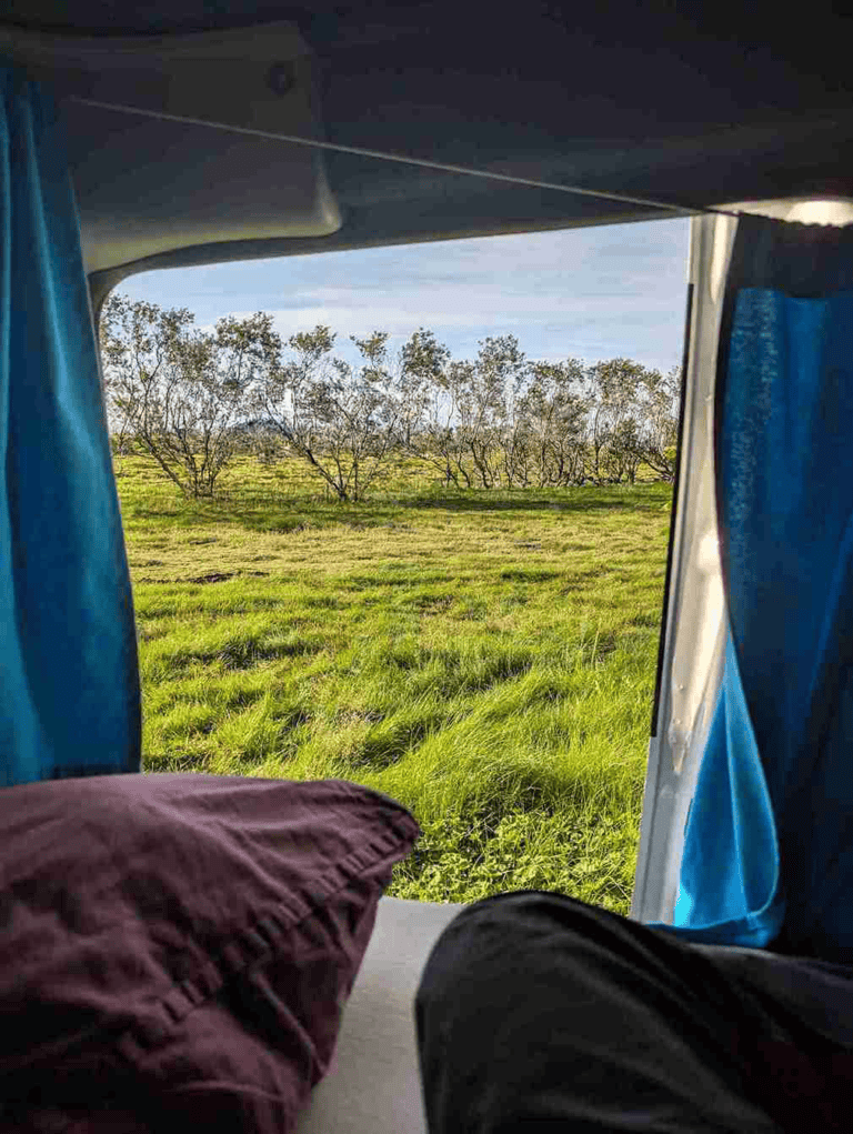 Looking out the side door of a kangoo camper, camped on a grassy campsite
