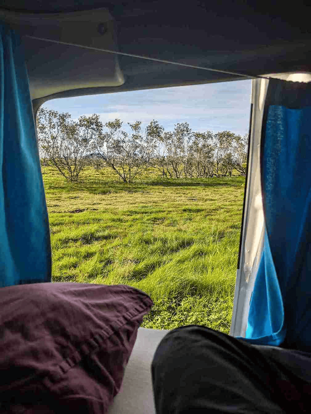 Looking out the side door of a kangoo camper, camped on a grassy campsite